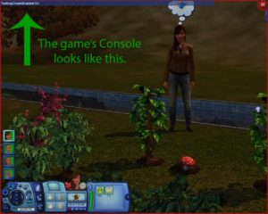 Sims 3 Console