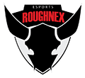 Roughnex logo